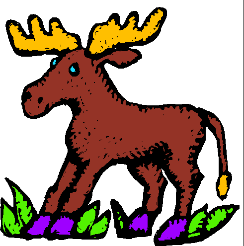 moose